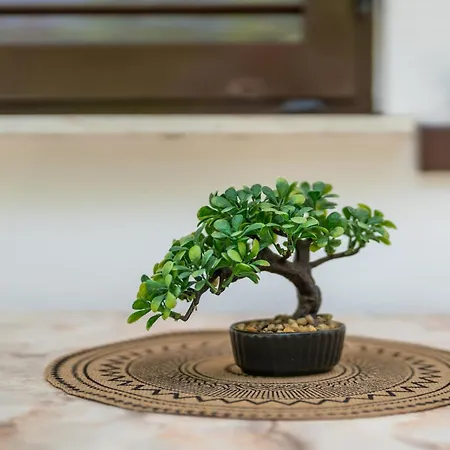 Avra Residences Hotel apartamentowy 3*